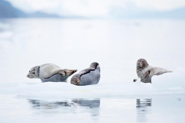 Seward, Alaska